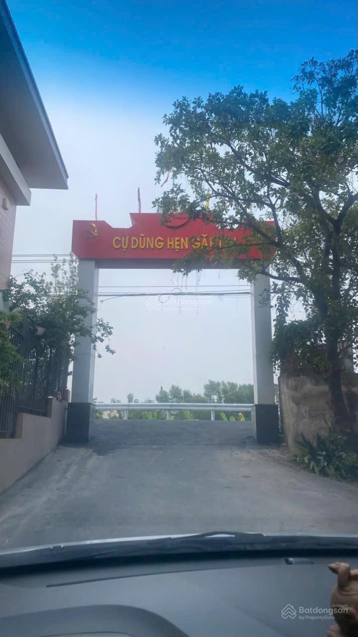 20250208143125-6d4f_wm