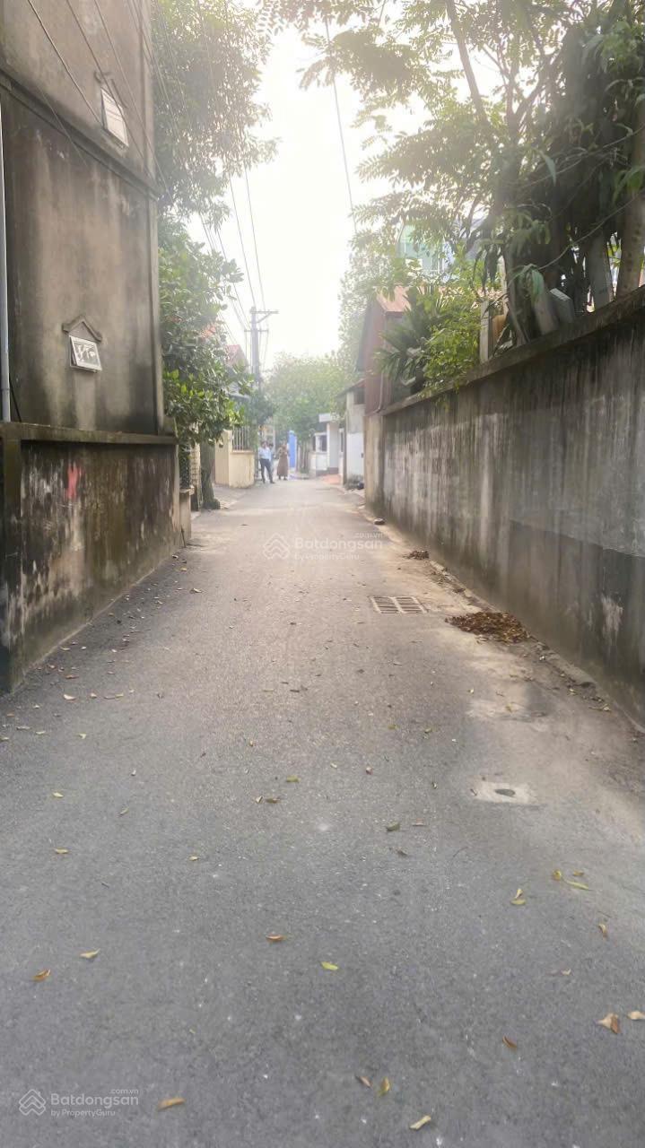 20250208143130-6acf_wm