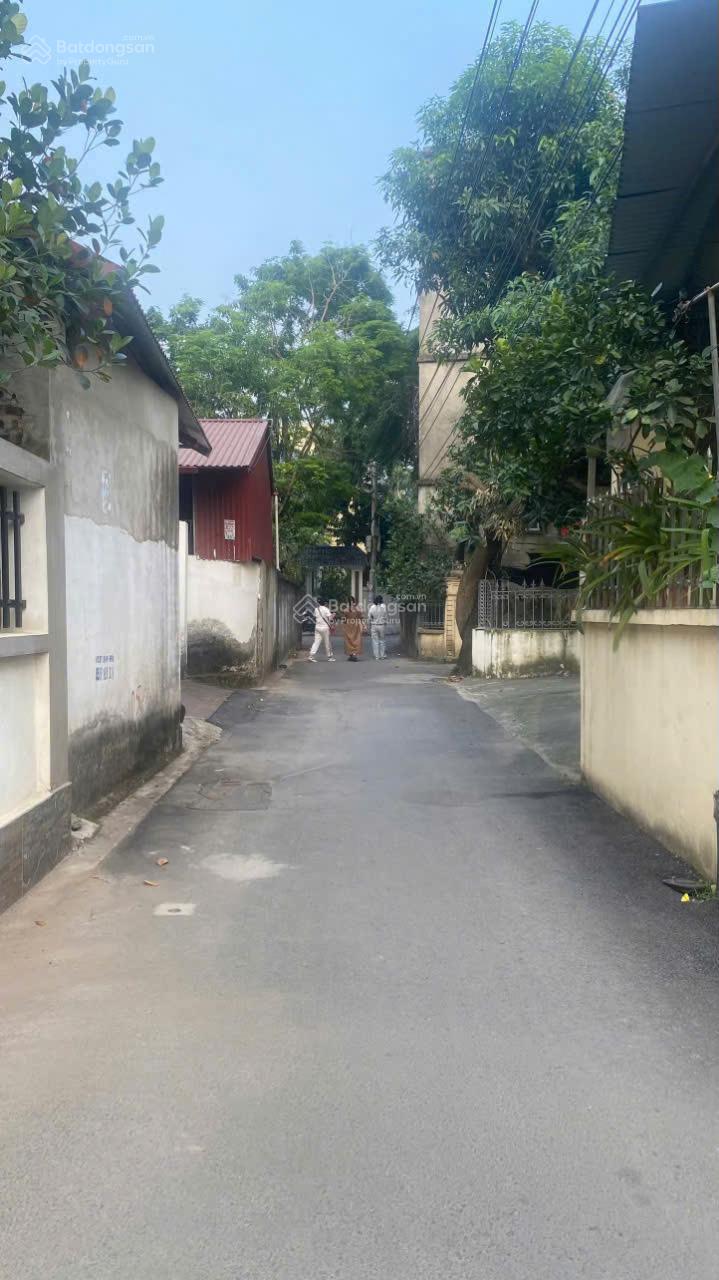 20250208143211-b8be_wm