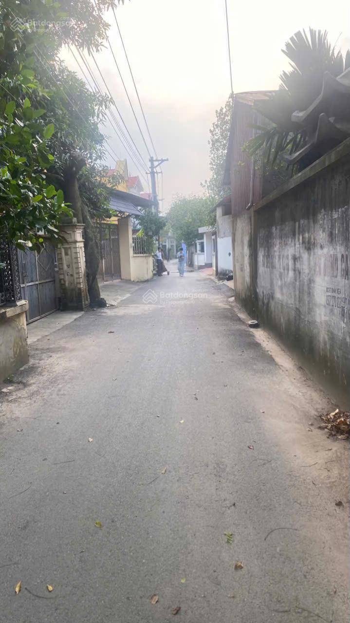 20250208143212-f545_wm