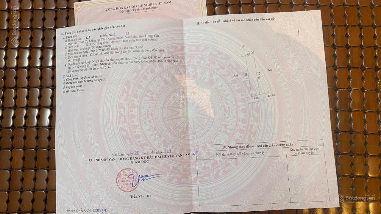 20250210104806-6d11_wm