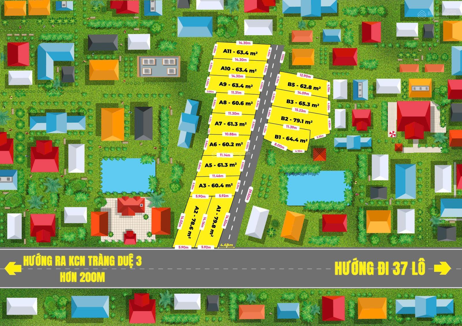 20250815135141-8e50_wm