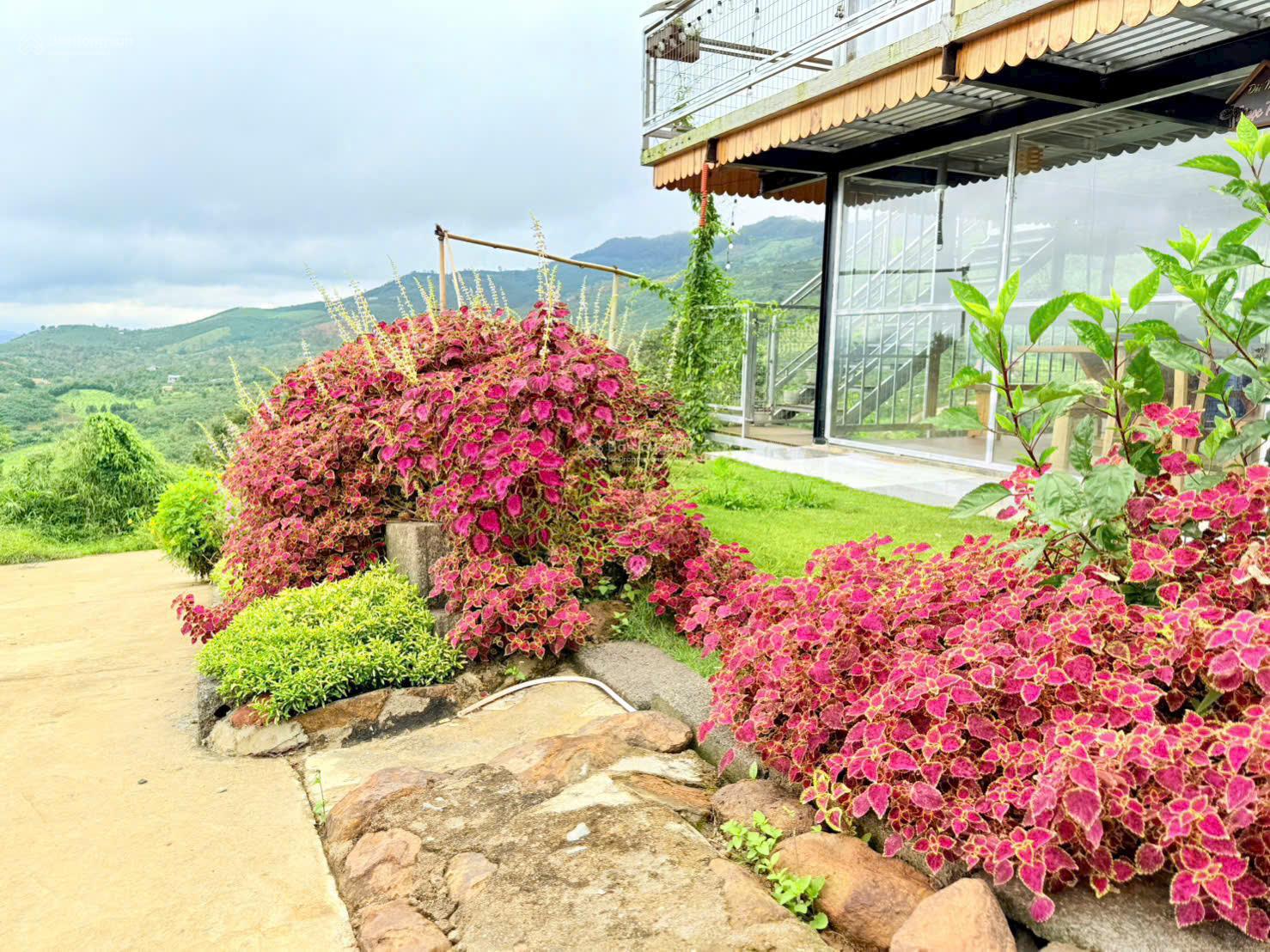 20250822102023-04f9_wm