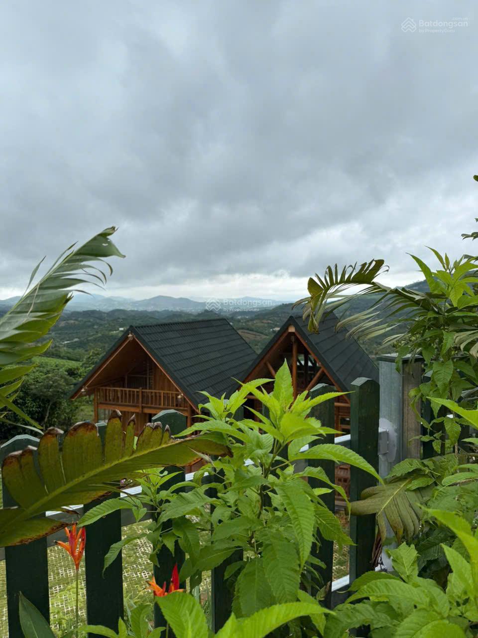 20250822102023-756c_wm