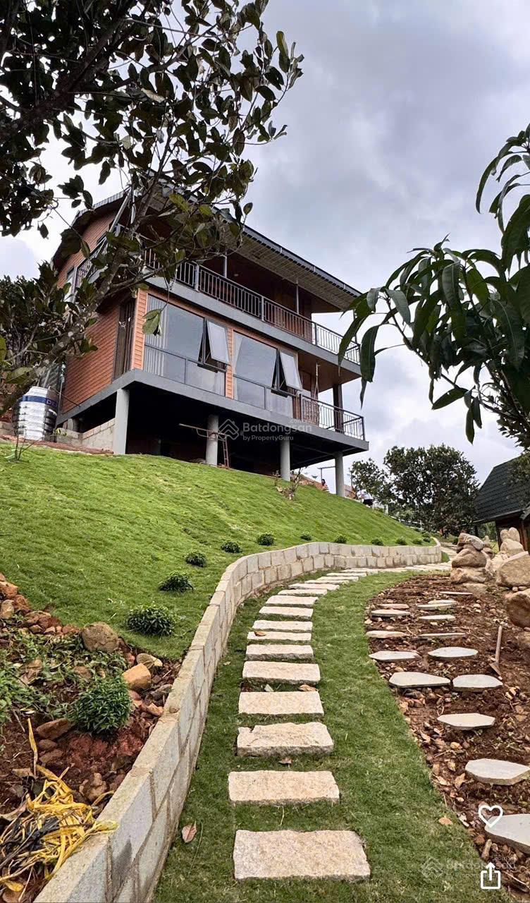 20250822102023-b315_wm