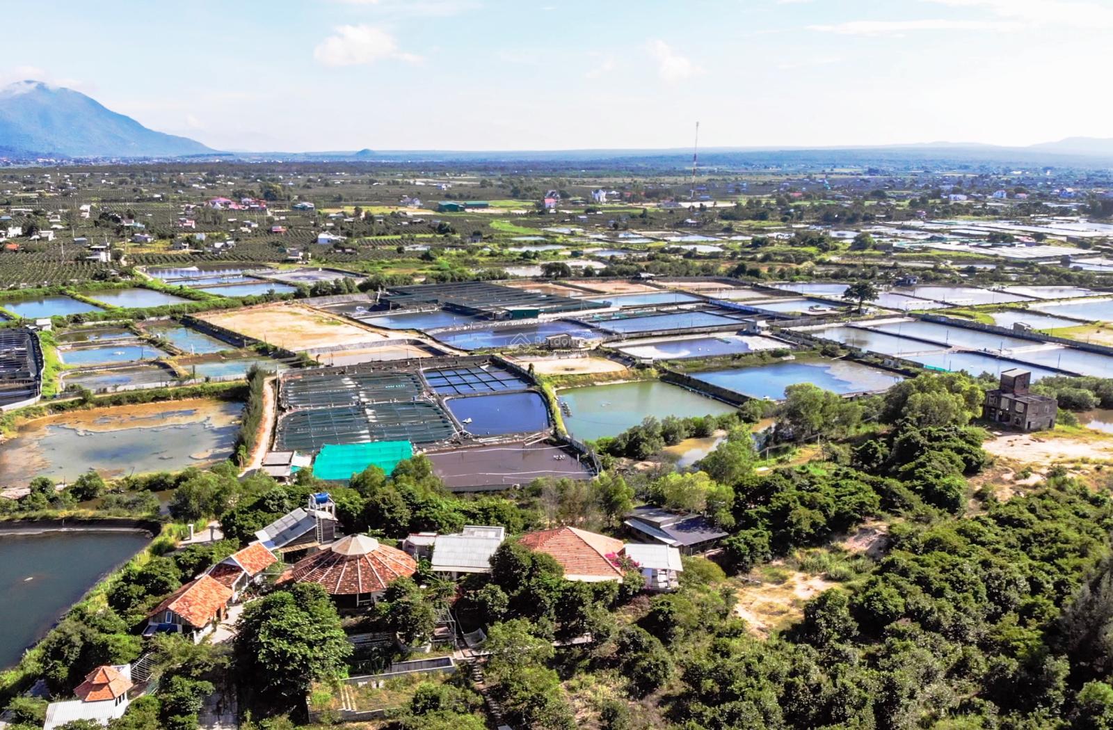 20250628201553-9312_wm