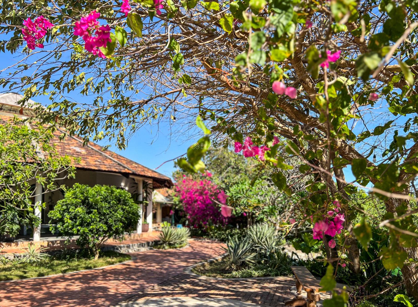 20250628201556-4e24_wm