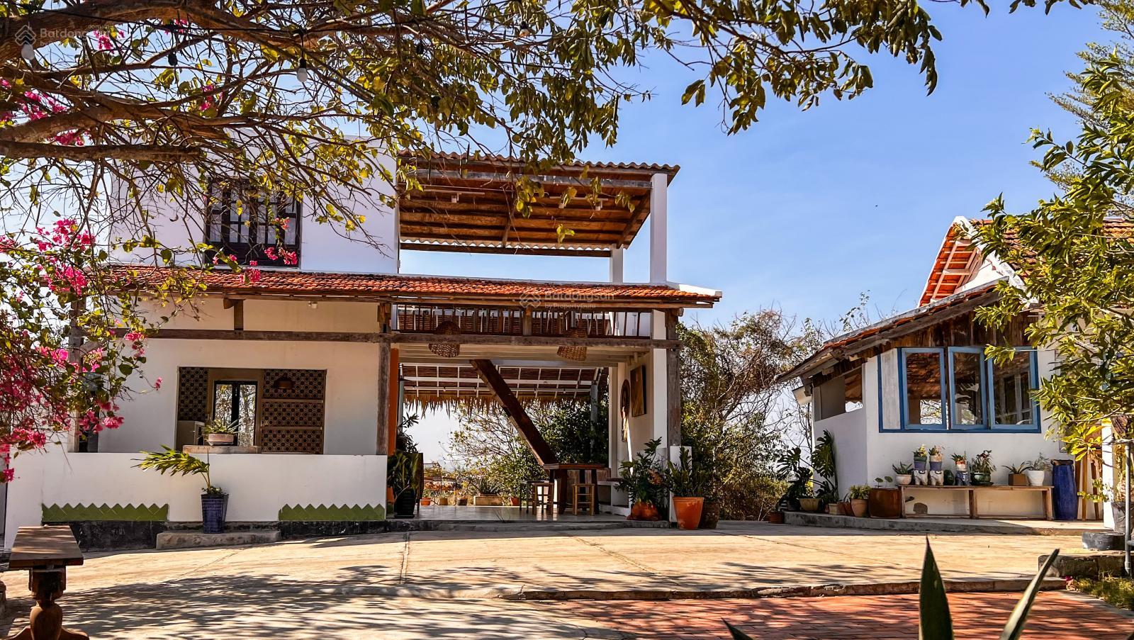 20250628201556-dd8a_wm